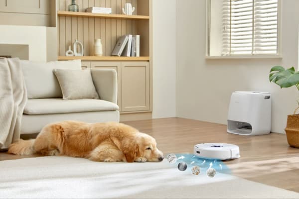 A golden retriever relaxes on a carpet while a robot vacuum cleans nearby, raising the question: can robot vacuums go over rugs?