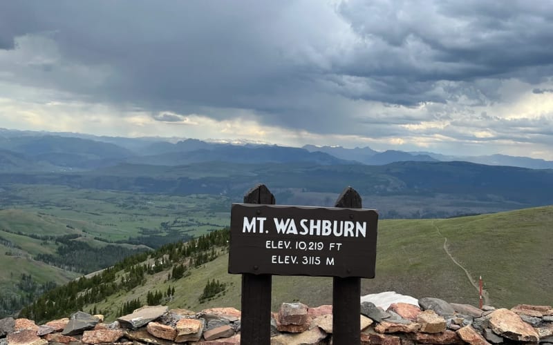 View from Mt. Washburn in Yellowstone, showcasing breathtaking scenery for unforgettable Yellowstone hikes.