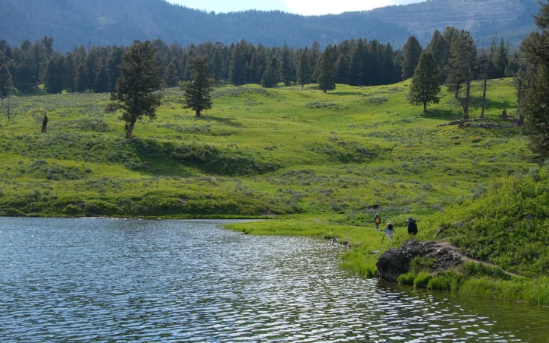 A serene landscape featuring hikers along a lake, surrounded by lush greenery, perfect for Yellowstone hikes.