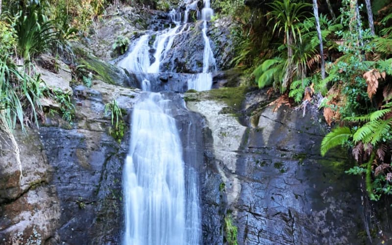 A serene waterfall surrounded by lush greenery, perfect for exploring Yellowstone hikes.