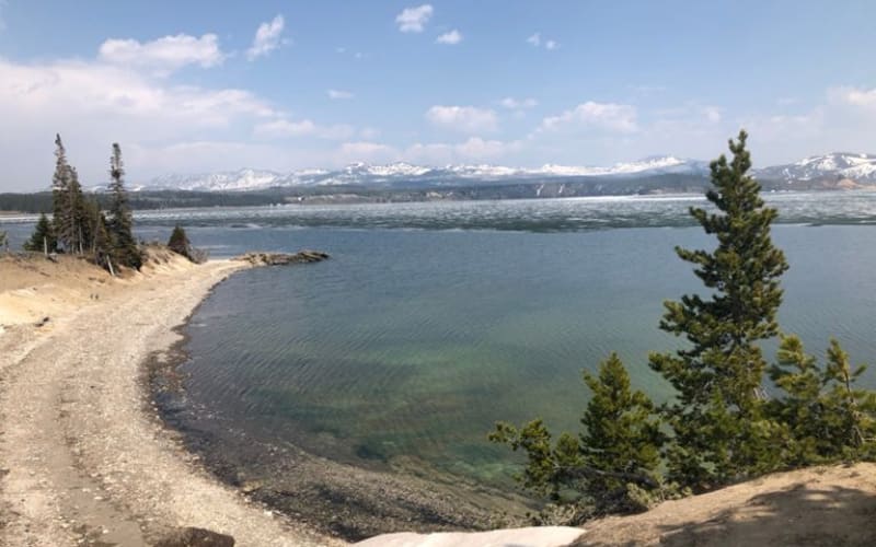 A serene view of the lake surrounded by trees, showcasing the beauty of Yellowstone hikes along the shoreline.