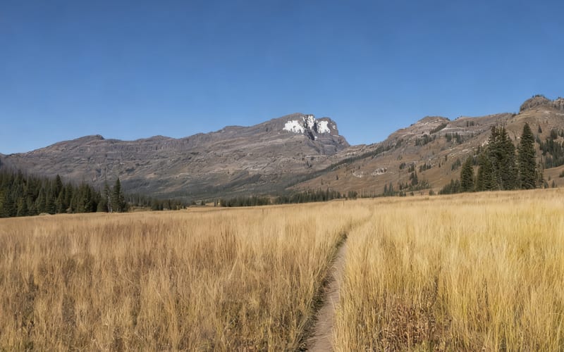 Wide view of a trail through golden grass with distant mountains, perfect for exploring Yellowstone hikes.