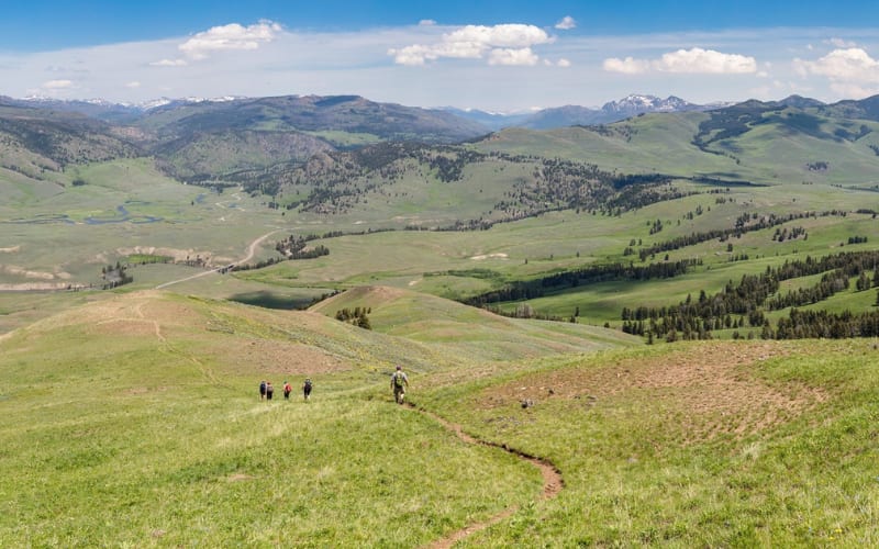 A scenic view of hikers on a trail, surrounded by lush green hills in Yellowstone, perfect for Yellowstone hikes.