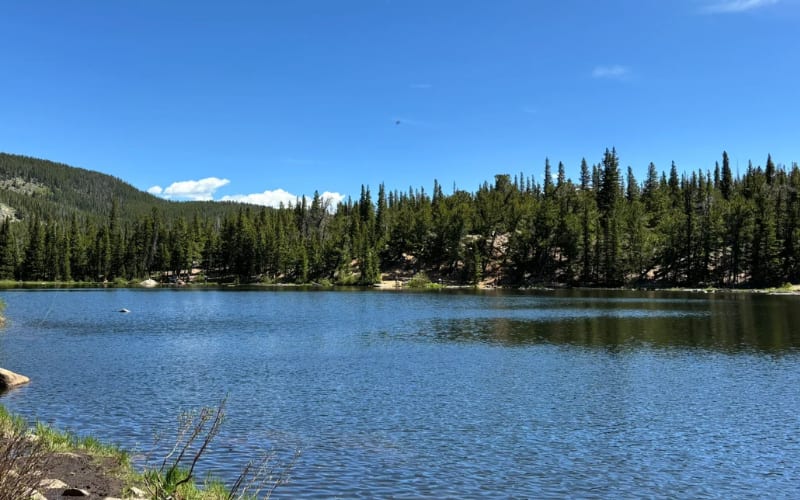 A serene lake surrounded by lush greenery, perfect for enjoying Yellowstone hikes in nature.