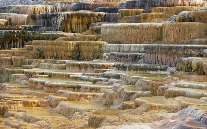 Colorful mineral terraces at Yellowstone National Park, showcasing the beauty of Yellowstone hikes.