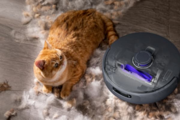 A cat lies on a floor covered in fur, near a robot vacuum questioning, "Can robot vacuums be used for pet hair removal?"