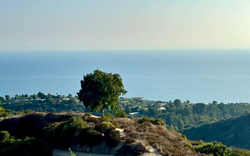 Scenic view from a hillside overlooking the ocean, perfect for discovering the best hikes in LA.