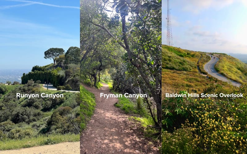 Explore stunning views along the best hikes in LA, featuring Runyon Canyon, Fryman Canyon, and Baldwin Hills.