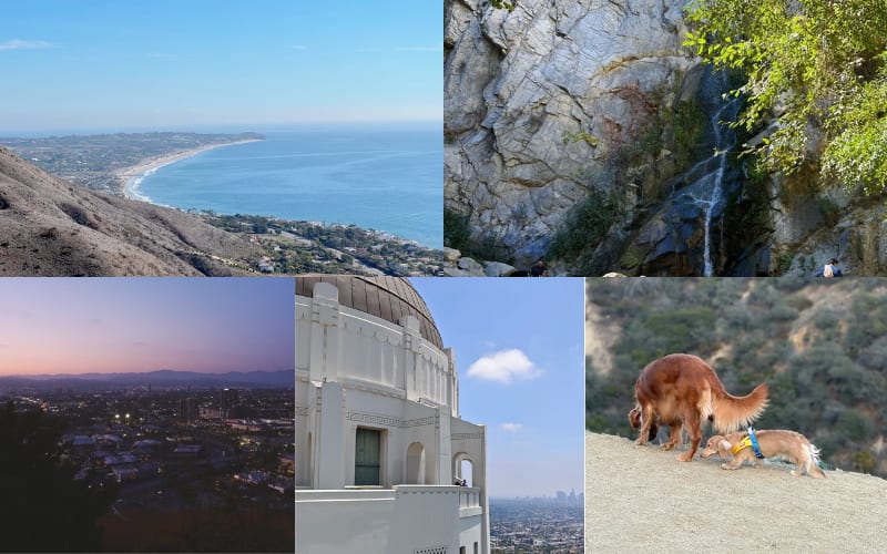 Scenic views of the best hikes in LA, featuring coastlines, waterfalls, city skyline, and dogs exploring.