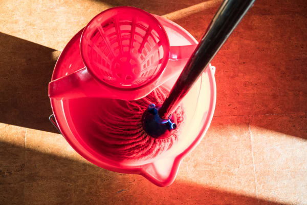 A red mop bucket with a mop inside, showing the preparation for cleaning vinyl floors with robot vacuum.