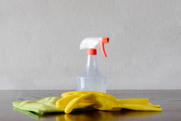 Cleaning supplies ready for use to maintain clean vinyl floors with robot vacuum assistance.