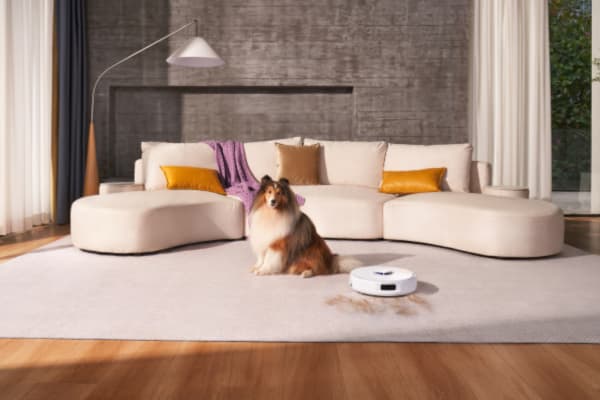 A dog sits on a carpet next to a robot vacuum, showcasing tips on Robot Vacuums: How to Get the Best Performance on Carpets.