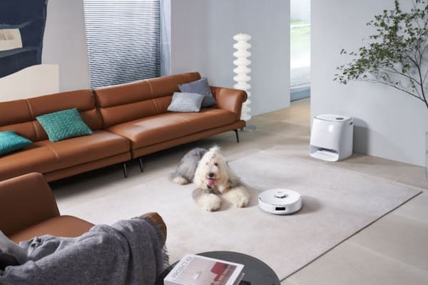 A dog relaxes on a rug while a robot vacuum cleans the living room, illustrating how to use your robot vacuum for daily cleaning routines.