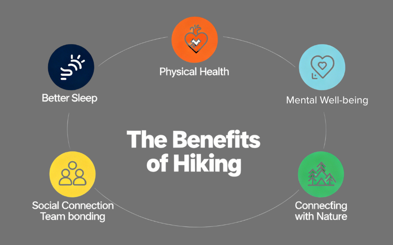 Exploring the benefits of hiking, including physical health, mental well-being, better sleep, social connection, and connecting with nature.