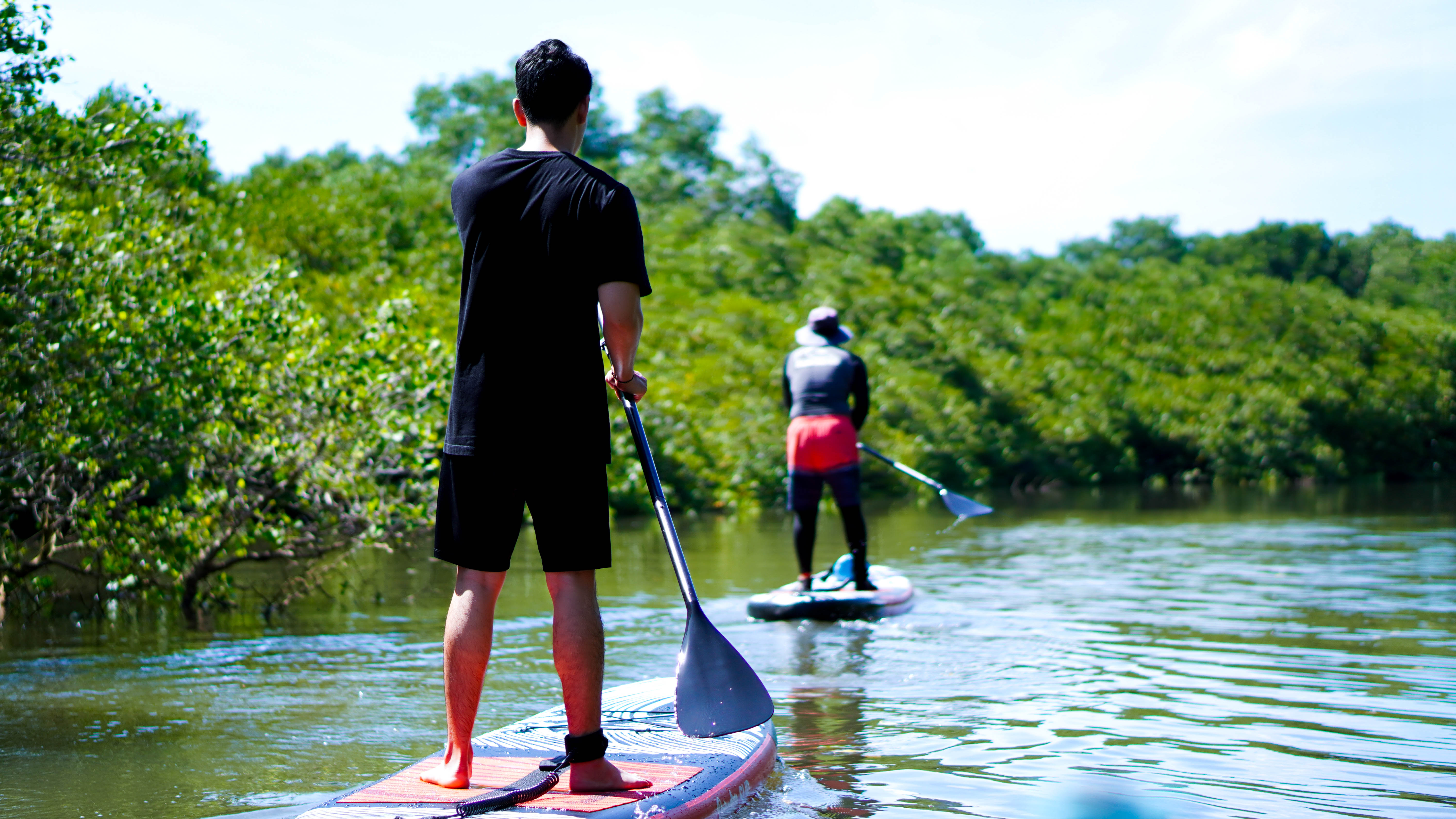 meanwhile, stand up paddle is eco friendly tour in kura-kura bus website.