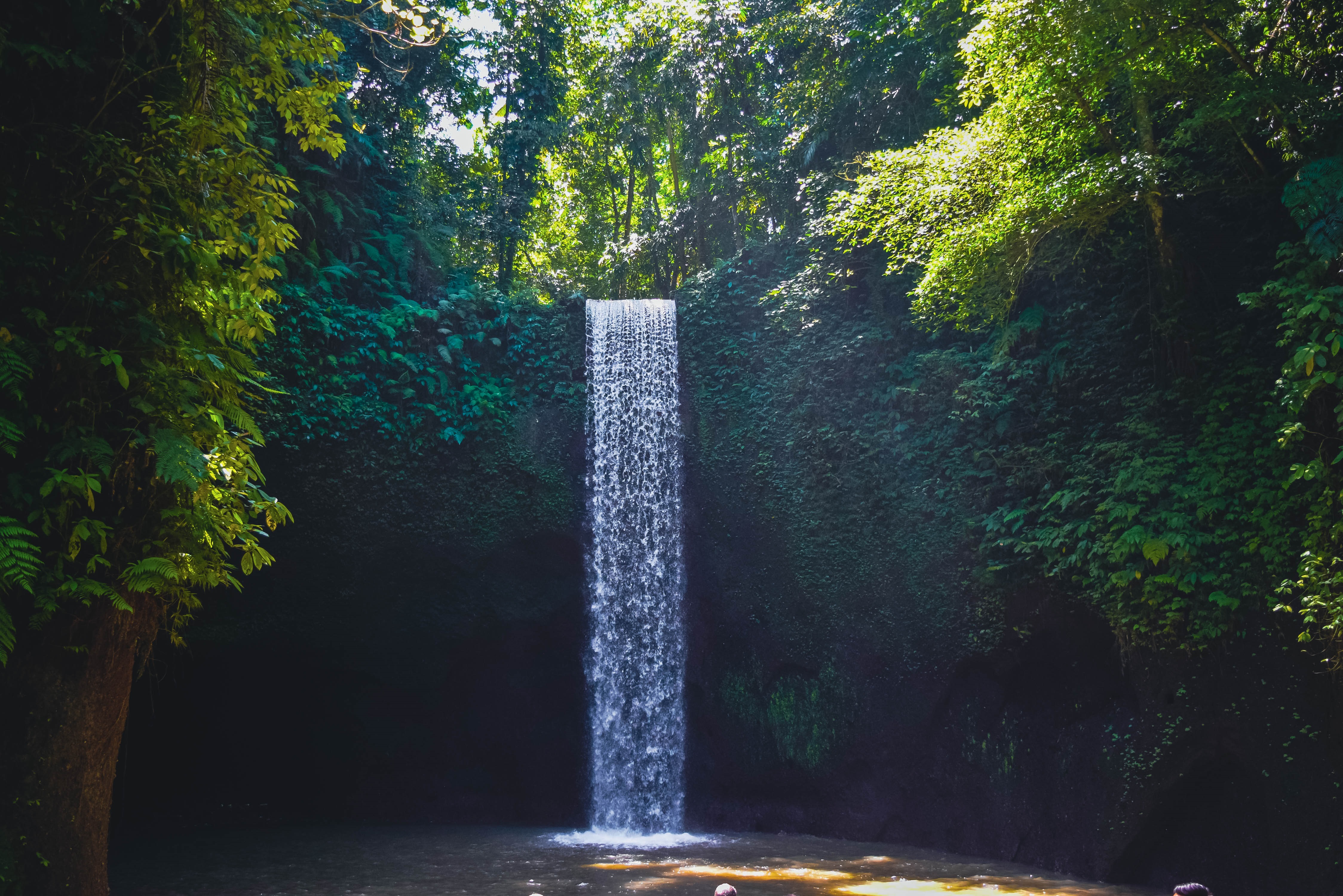 meanwhile, Bali jungle waterfall offers trekking around bamboo forest.