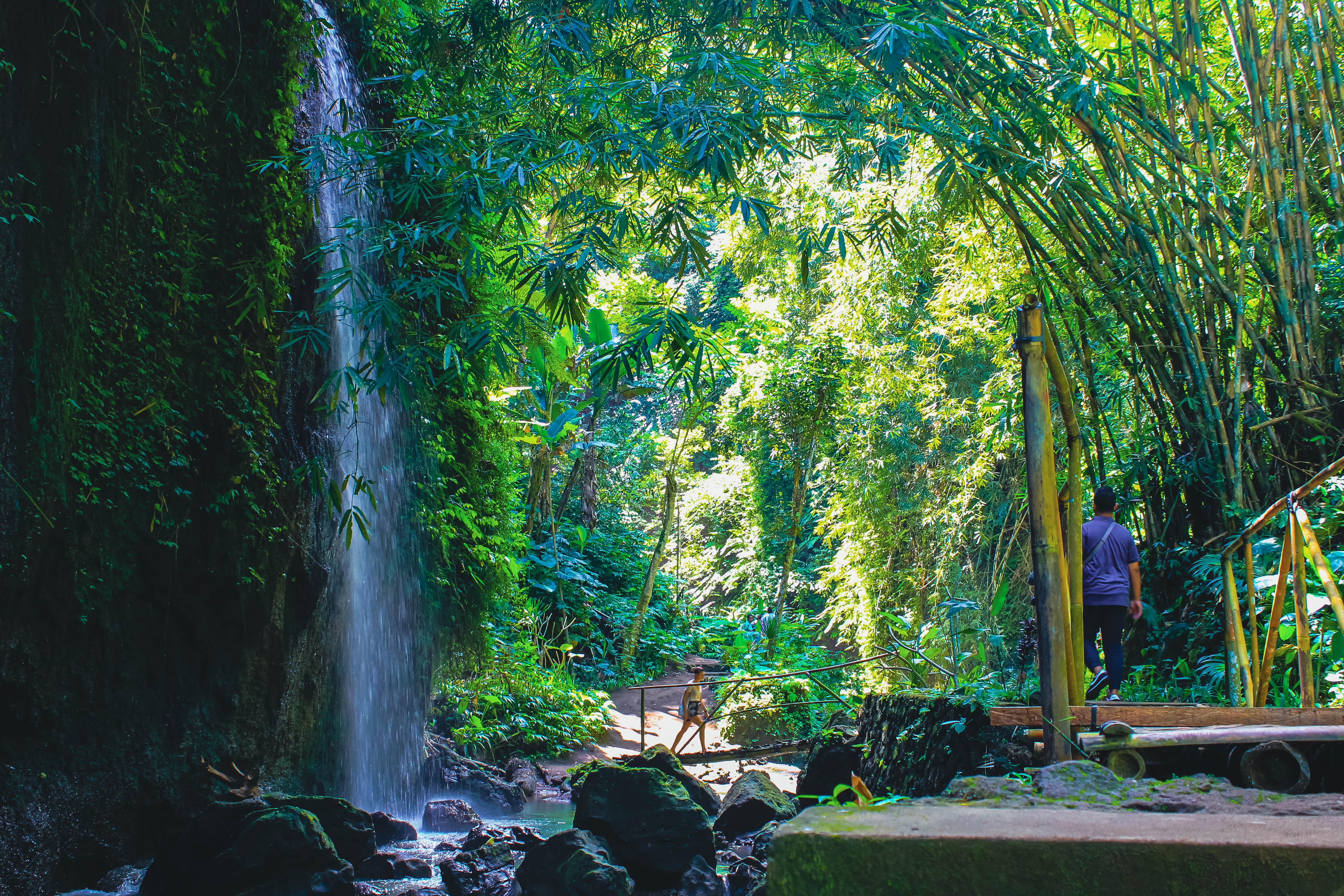 meanwhile, bali jungle waterfall is one of recommende activity in Ubud.