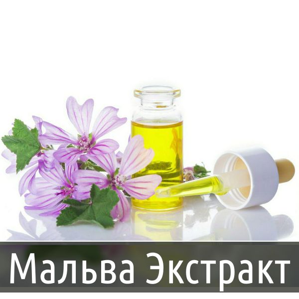 Мальва