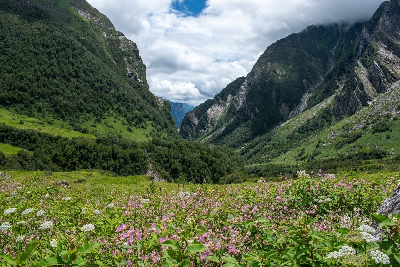 Nanda Devi and Valley of Flowers National Parks
