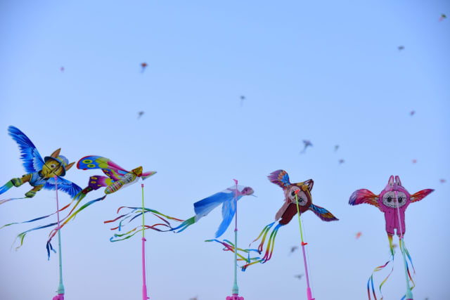 Makar Sankranti