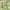 The Most Beautiful Season?