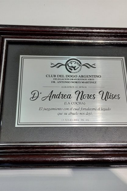 Imagen de producto Plaqueta enmarcada símil acero/ bronce 11 x 16. Art. PESE 1116