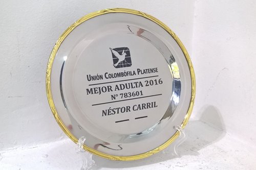 Imagen de producto Plato de acero Redondo 18 cm  con Guarda de Bronce. Art. PARG 18