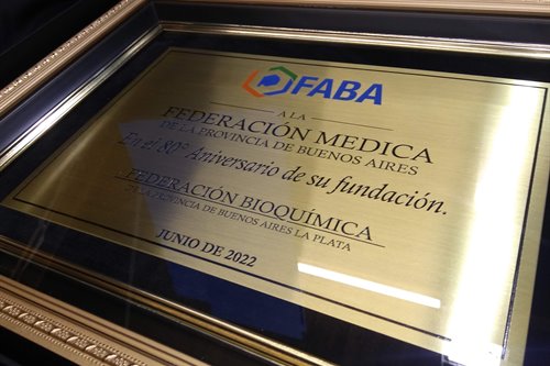 Imagen de producto Plaqueta Enmarcada Bronce/Acero Fondo Madera 20 X 30. Art. PEMV 2030