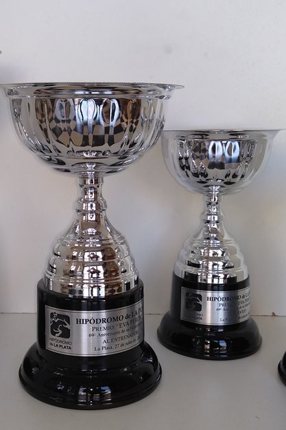 Imagen de producto Copa Metálica Mod. 120. /1- /2 -/3 -/4 -/5 -/6 -/7 - /8 -/9 -/10. Art. CM 120