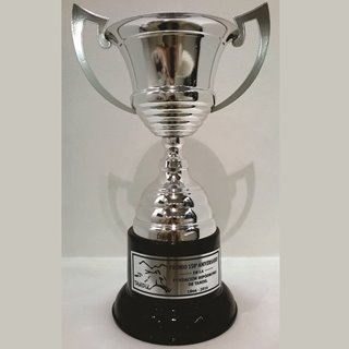 Imagen de producto Copa Metálica Mod. 210. /1- /2 -/3 -/4. Art. CM 210