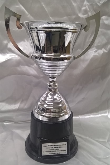 Imagen de producto Copa Metálica Mod. 210.  /1- /2 -/3 -/4. Art. CM 210