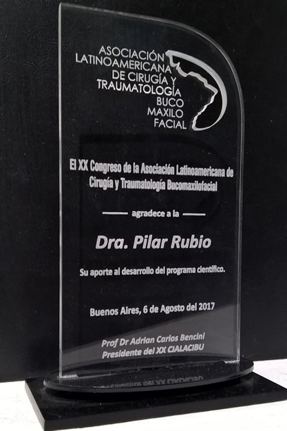 Imagen de producto Premio Acrílico 2430. Art. PAE 2430