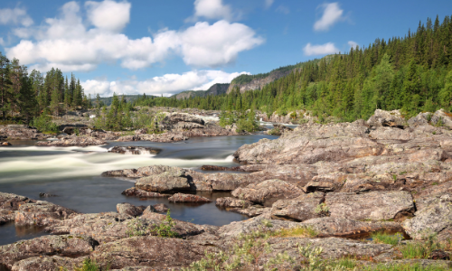 The Wilderness Road The Wilderness Road