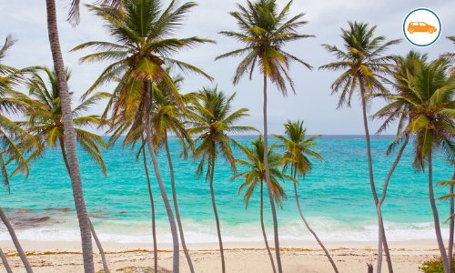 Car hire forecast for 2022 Car hire forecast for 2022