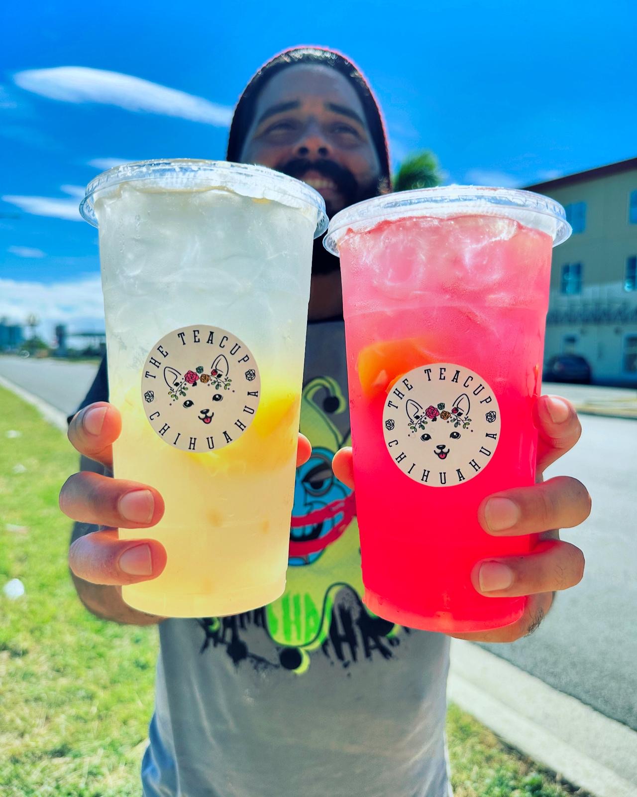 The Teacup Chihuahua - Foto 5