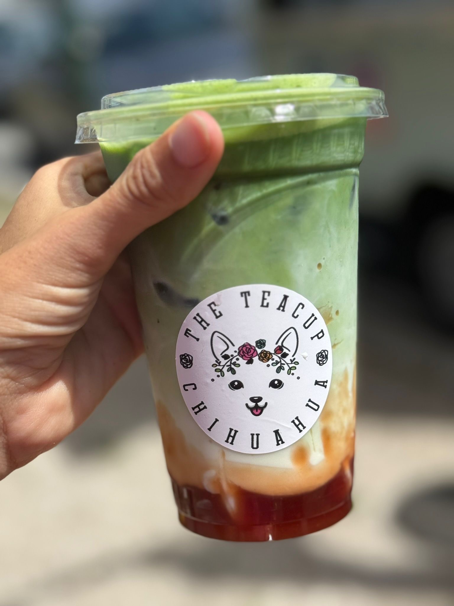 The Teacup Chihuahua - Foto 6