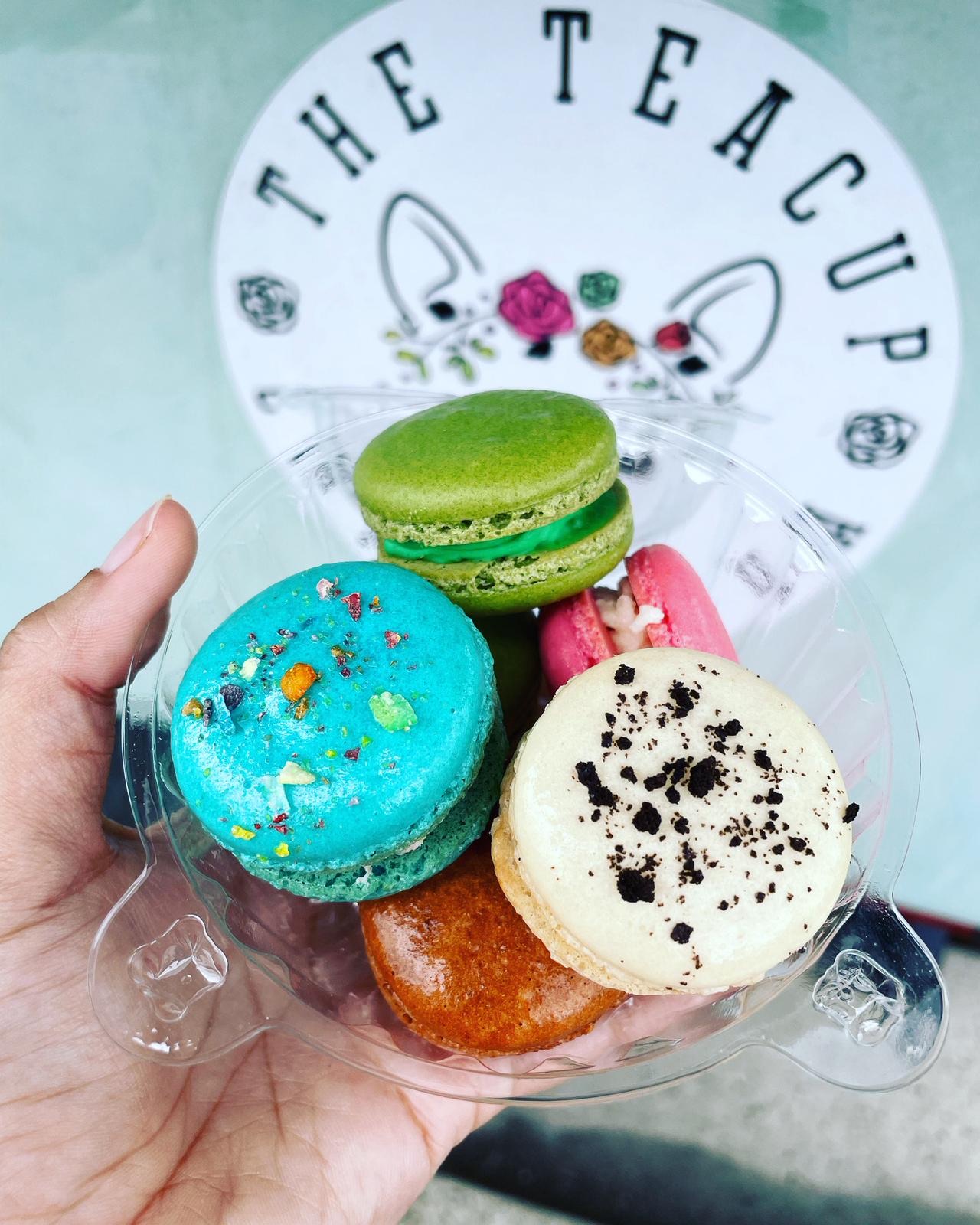 The Teacup Chihuahua - Foto 3