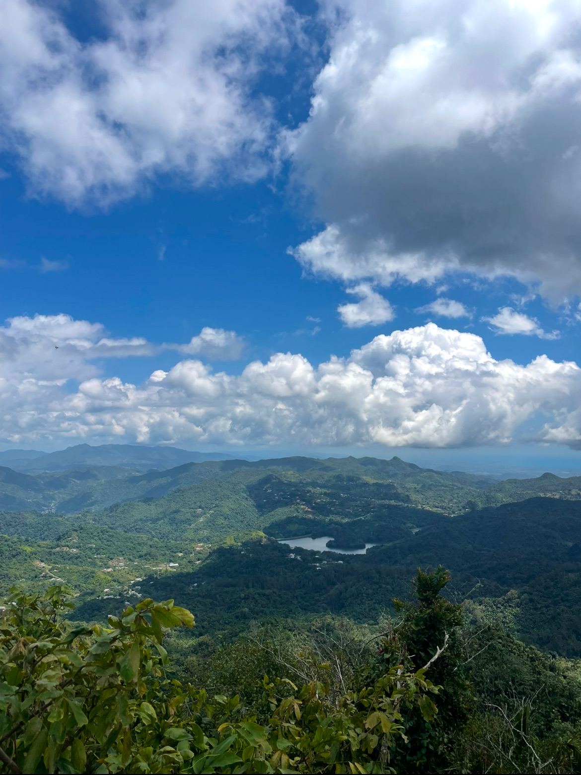 Cerro Monte Guilarte