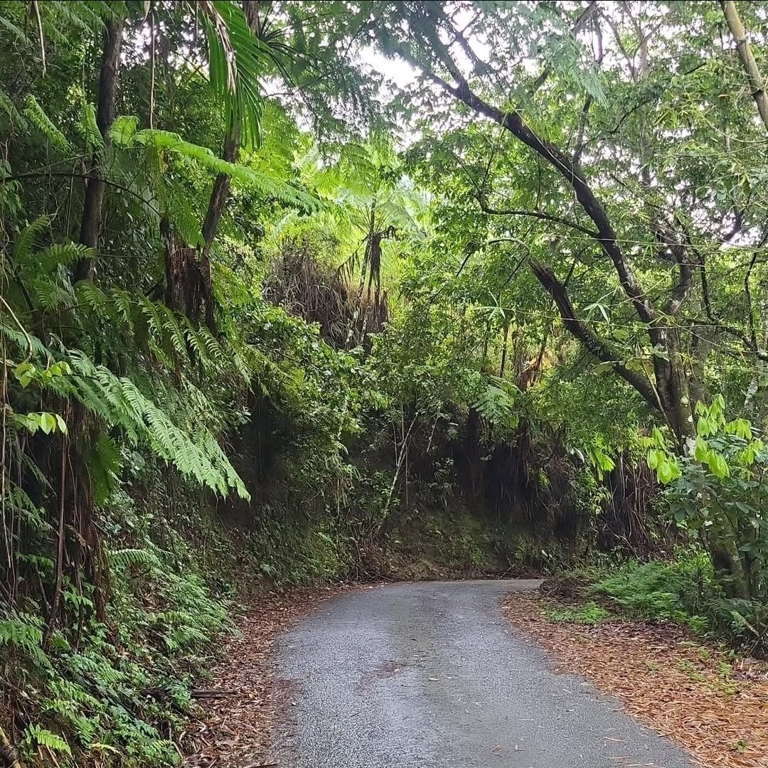 Charco Azul Patillas