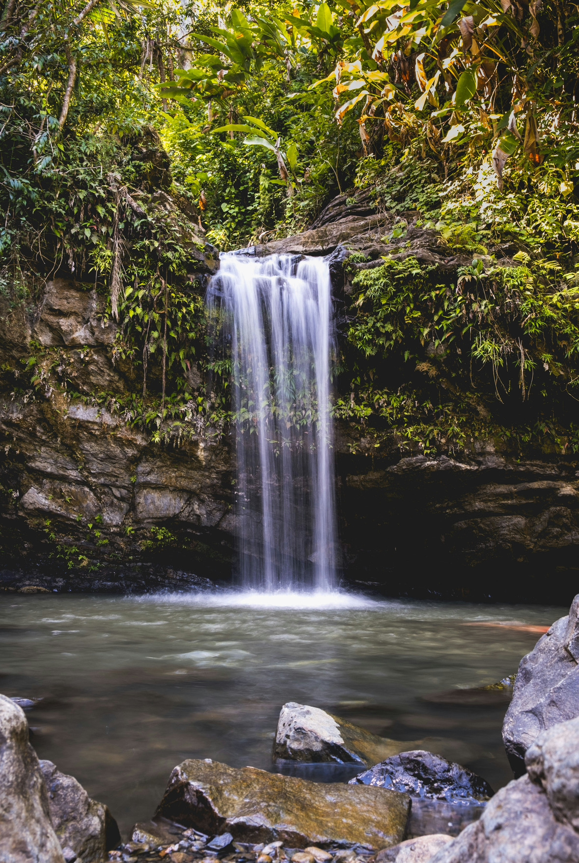 El Yunque