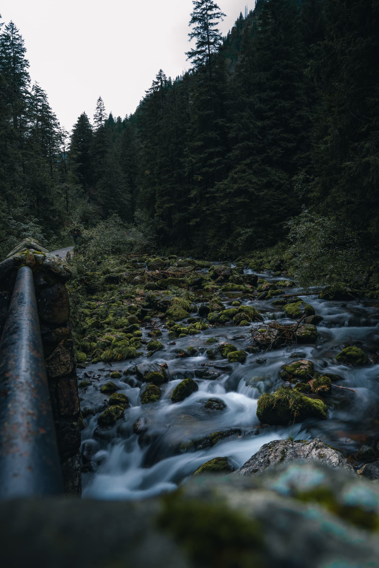 Stream in Kościeliska Valley