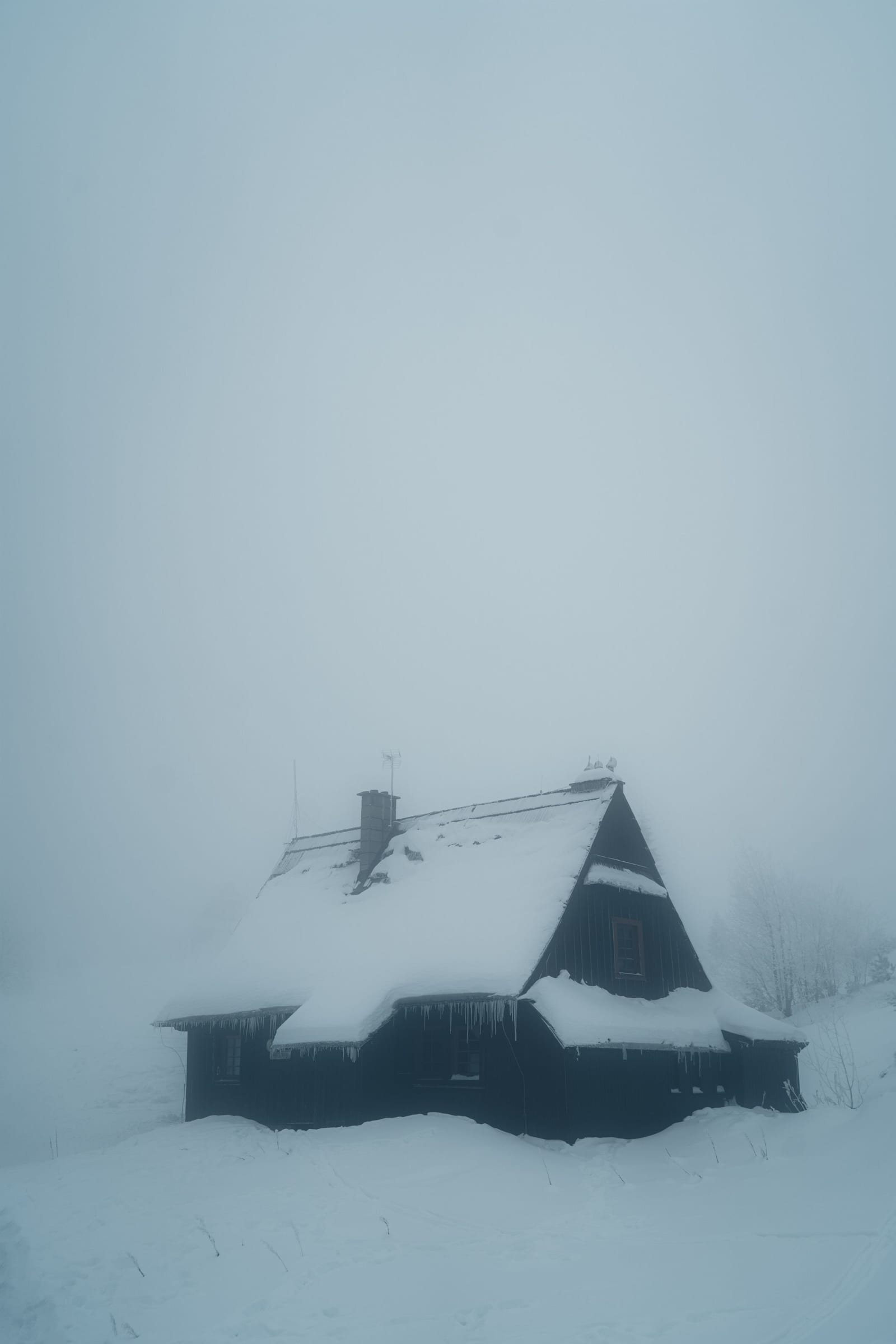 Hala Gąsienicowa