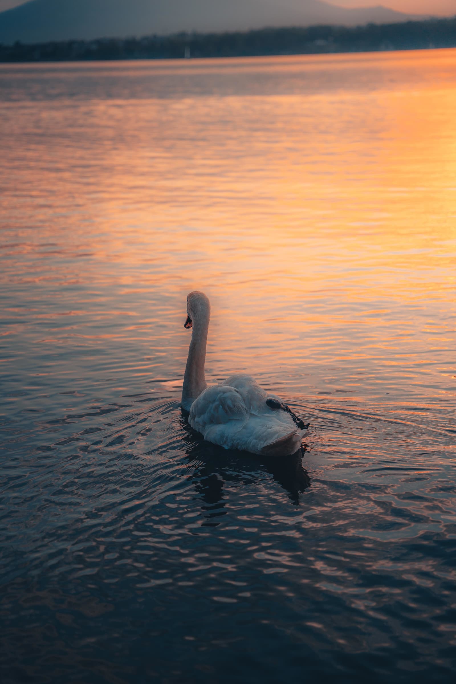 Drifting Away