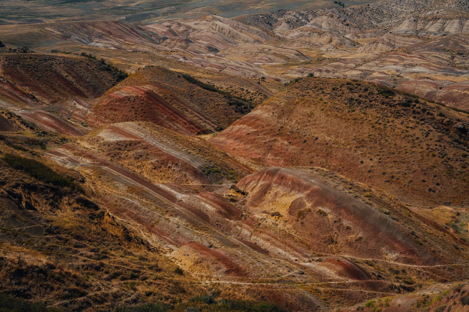 Multilayered Painted Hills Landscape