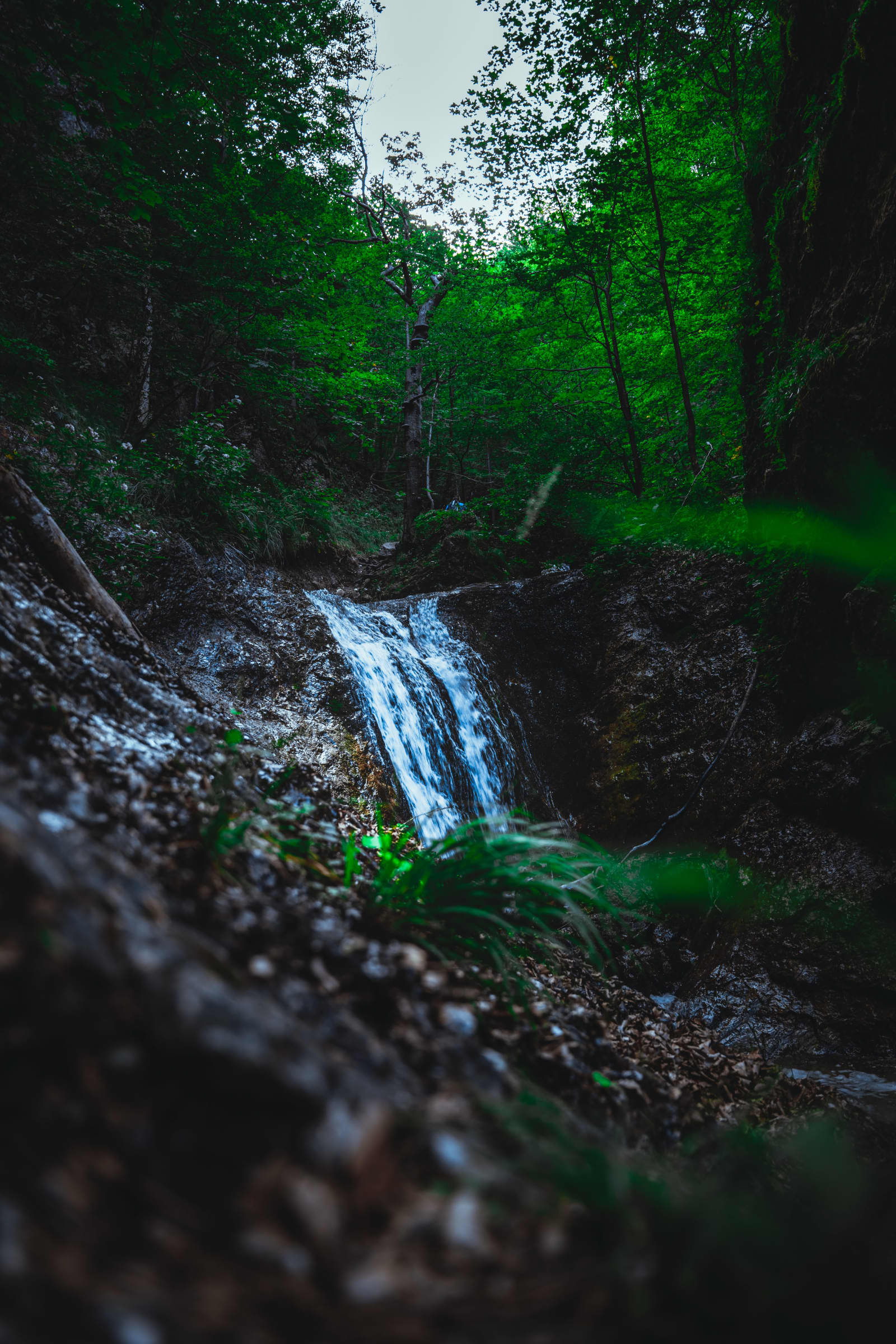 Small waterfall in Jánošíkové diery