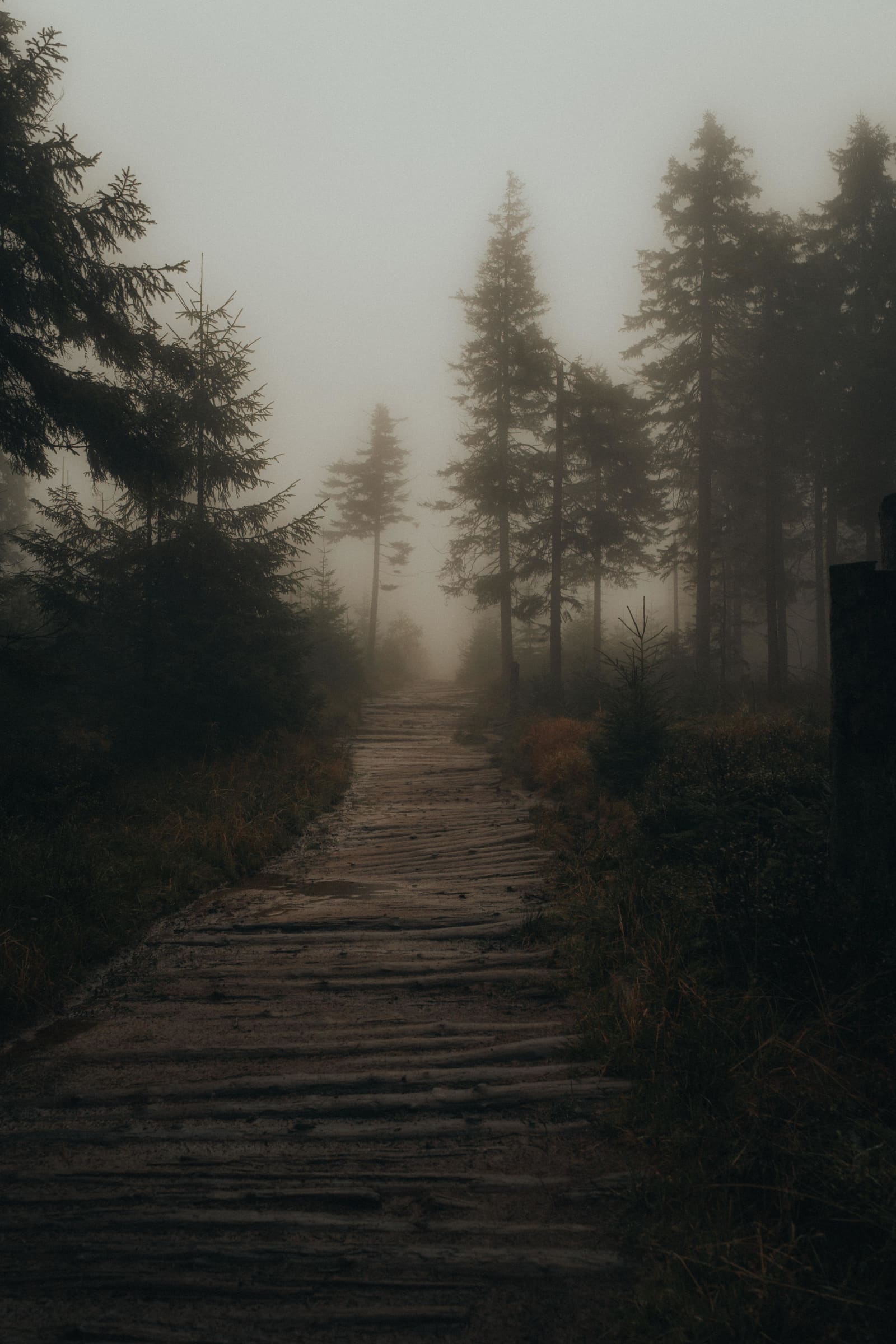Mgła połykająca szlak na Baranią Górą
