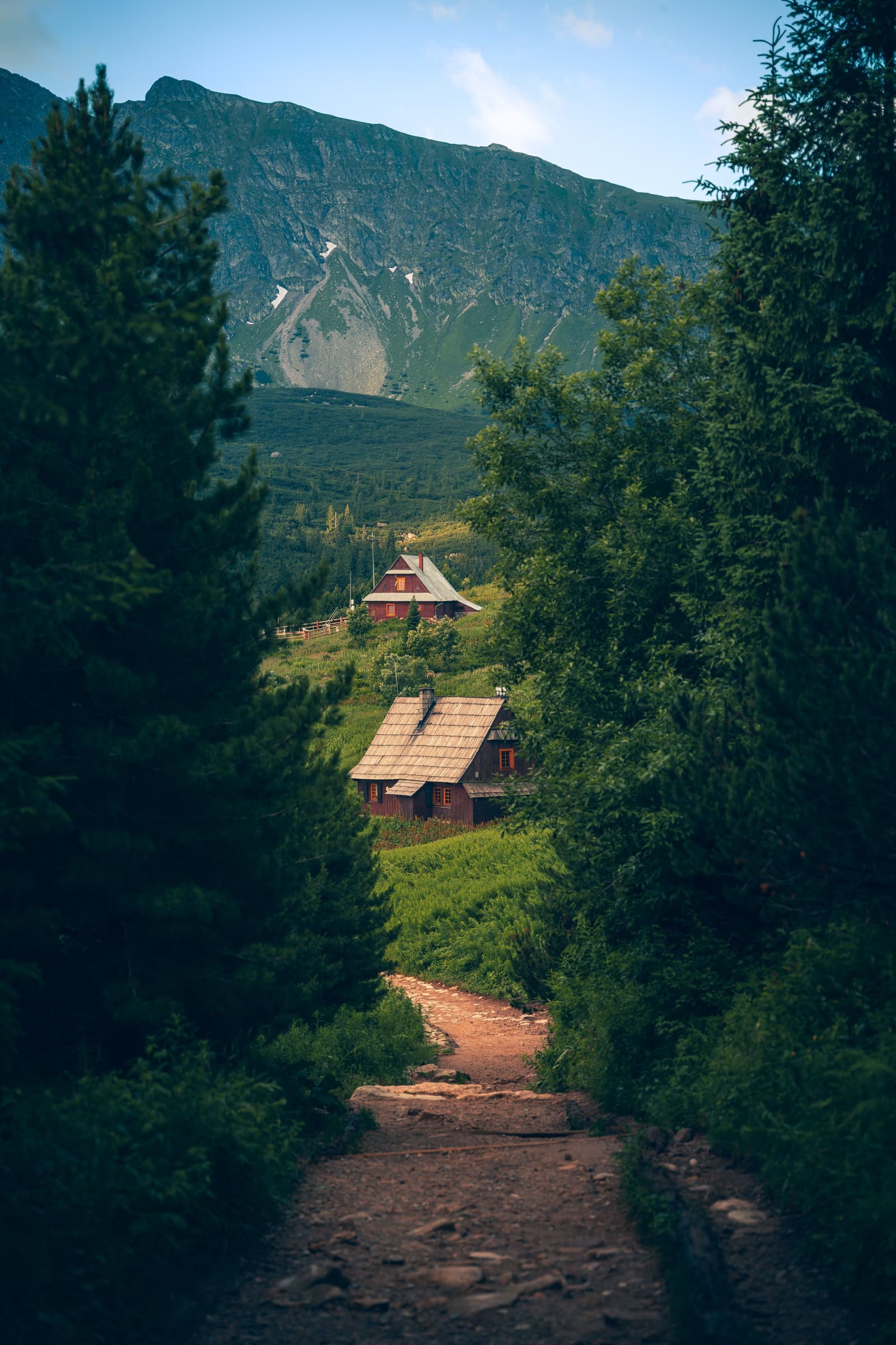 Hala Gąsienicowa