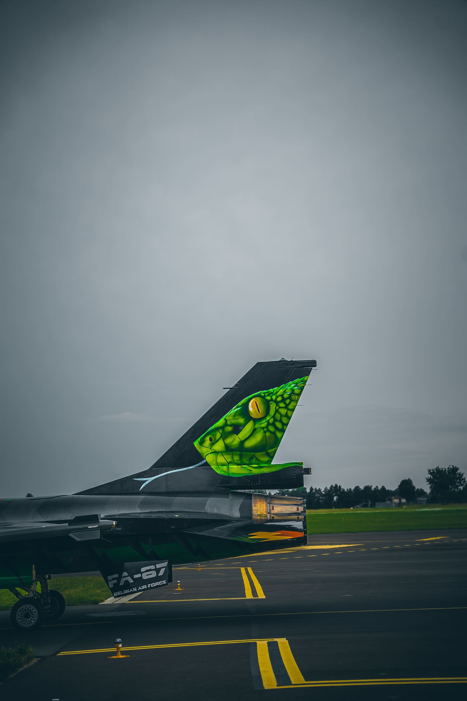 Belgijskie F16 Dream Viper