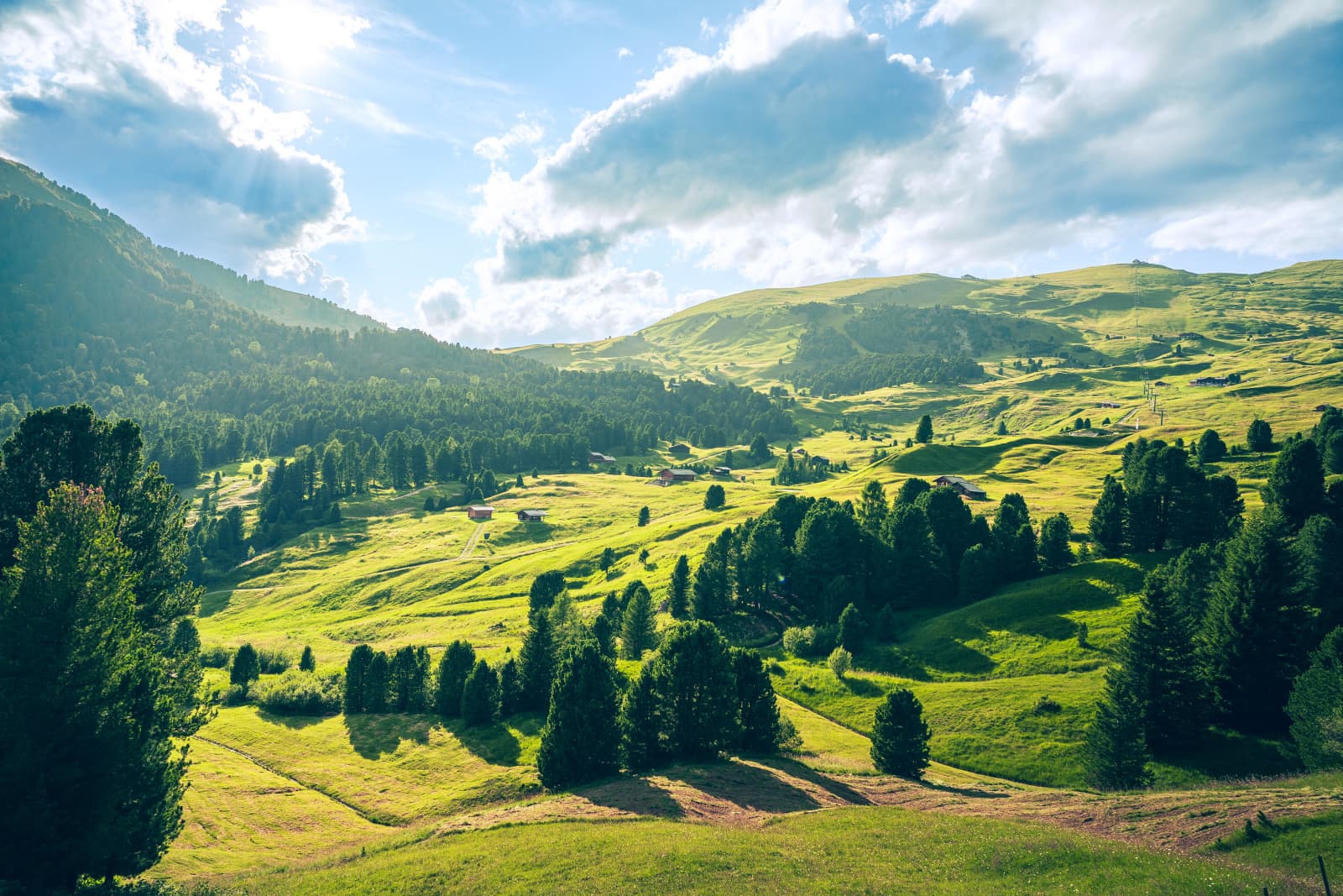 Letnie słońce na alpejskich łąkach Dolomitów
