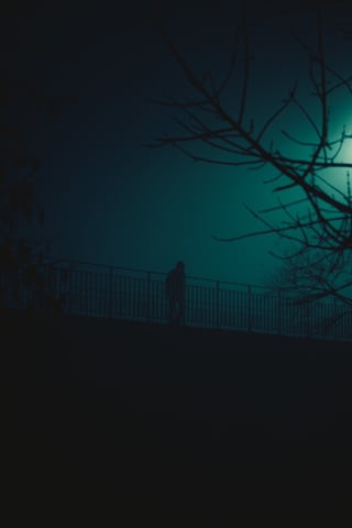 Cinematic foggy day